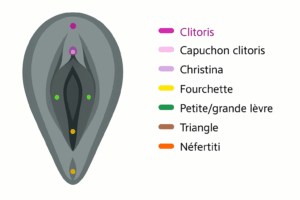 Piercing vaginaux : styles, zones et précautions